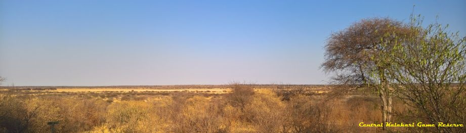 Central Kalahari Game Reserve - Botswana